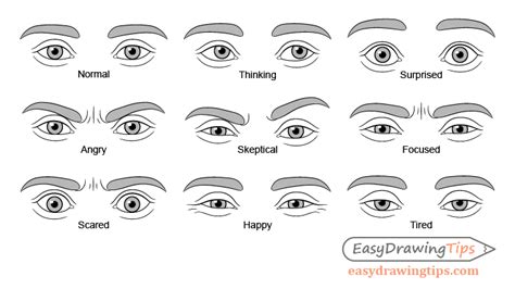 How to Draw Eye Expressions Step by Step - EasyDrawingTips