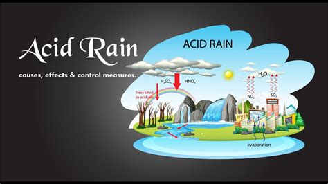 Acid Rain: causes, effects & control measures - YouTube