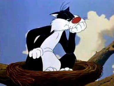 Sylvester The Cat Quotes. QuotesGram