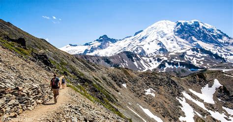 mount rainier national park Archives – Earth Trekkers