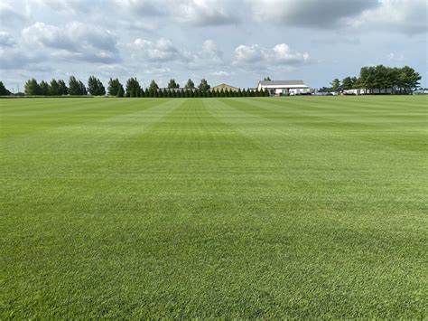 Kentucky Bluegrass Sod | Sporting Valley Turf Farms