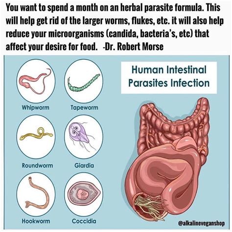 #Repost @domingoslop3s Parasites are organisms that live in and feed ...