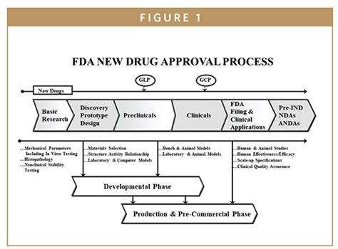 Drug Development Process Flowchart