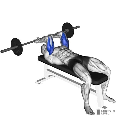 Lying Tricep Extension How To - Strength Level