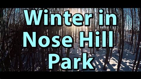 Winter in Nose Hill Park, Calgary (60FPS) | Journey Alberta - YouTube