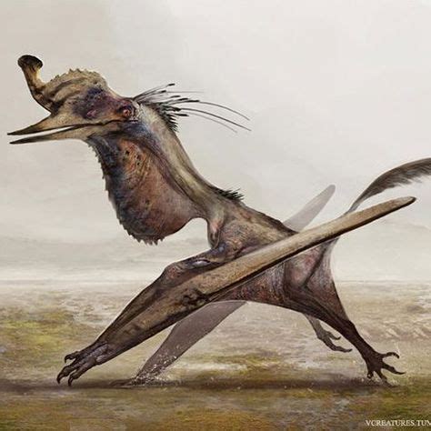 Quetzalcoatlus, perhaps the largest flying animal of all time, was a ...