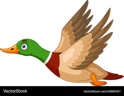 Cute duck cartoon flying on white background Vector Image