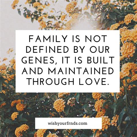 Best Family Quotes About Love and Why Family Is Important Quotes!