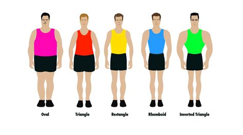 Different types of Male Shape