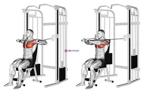 Cable Seated Chest Press - Home Gym Review