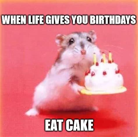 🎂 46 Awesome Birthday Cake Meme | Happy birthday animals, Happy ...