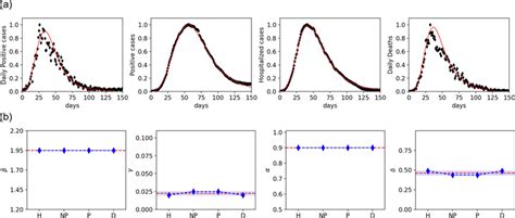 Model description of the first epidemic wave. (a) Time evolution of the ...