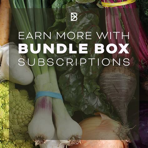 Earn More with Bundle Box Subscriptions — BARN2DOOR