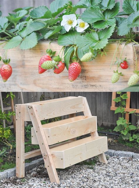 DIY Tiered Strawberry Planter Vertical Planter Box For Your, 59% OFF