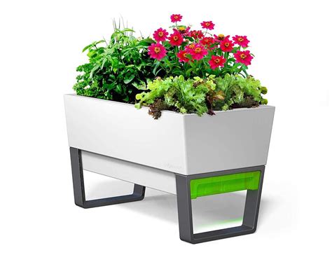 This self-watering planter box is the green thumb you never had