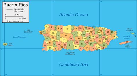 Sin lugar a dudas Cósmico Andrew Halliday mapa de puerto rico satelite ...