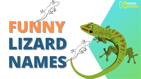 These Funny Lizard Names Will Make You Giggle! - Names Crunch