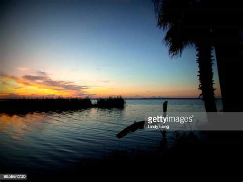 14 Lake Jesup Stock Photos, High-Res Pictures, and Images - Getty Images