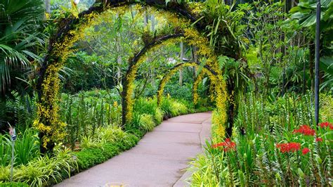 Singapore Botanic Gardens in Singapore, | Expedia