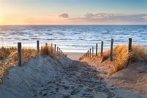 1,100+ Zandvoort Beach Stock Photos, Pictures & Royalty-Free Images ...