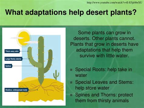 PPT - Habitats and Adaptations PowerPoint Presentation - ID:2086289