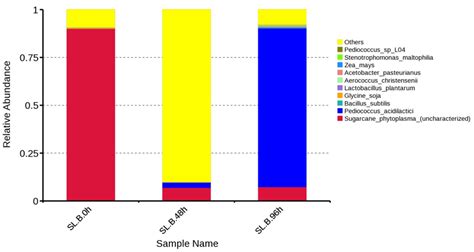 Fermentation | Free Full-Text | Screening and Identification of the ...