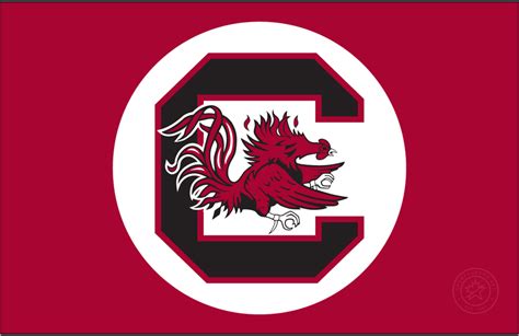 South Carolina Gamecocks Secondary Logo - NCAA Division I (s-t) (NCAA s ...