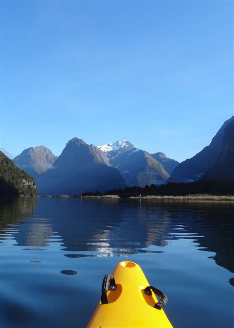 Kayaking Milford Sound | Milford sound, Milford, Kayaking