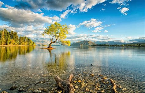 2560x1440px | free download | HD wallpaper: New Zealand, nature, lake ...