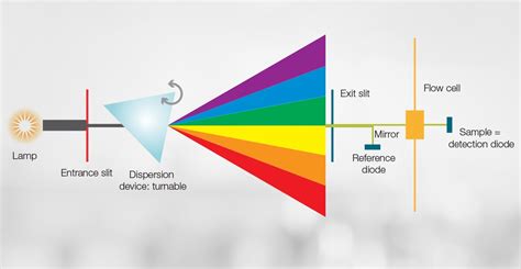 How HPLC Detectors Work | Thermo Fisher Scientific - US