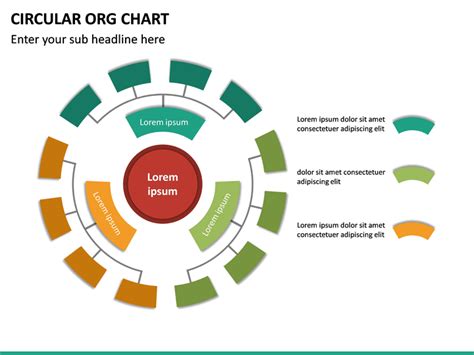 Organizational Chart Circle Template