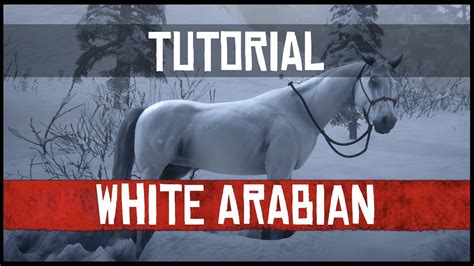 White Arabian - RDR2 - YouTube