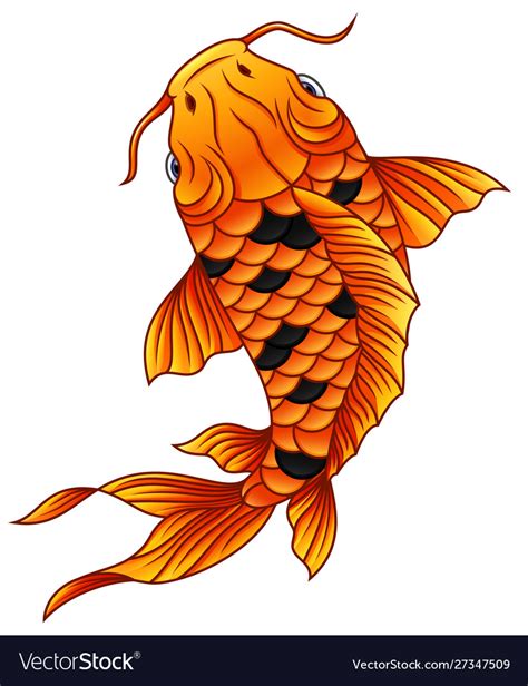 Cartoon koi fish swimming on white background Vector Image