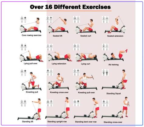 7 Benefits of Rowing Machine Workout: 2023 Workout Guide