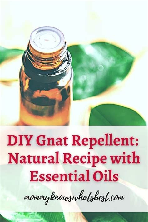 Keep the gnats out of your eyes, mouth, and nose with this natural gnat ...