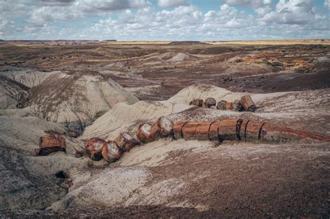 ULTIMATE GUIDE TO PETRIFIED FOREST NATIONAL PARK - Smilkos Lens