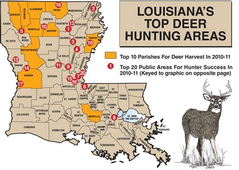 Louisiana Deer Hunting Area Map