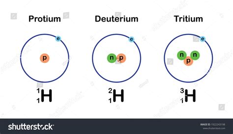 Three Isotopes Hydrogen Stock Vector (Royalty Free) 1922243198 ...