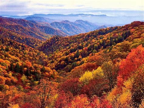 When is the Best Time to See Smoky Mountain Fall Colors? | Smoky ...