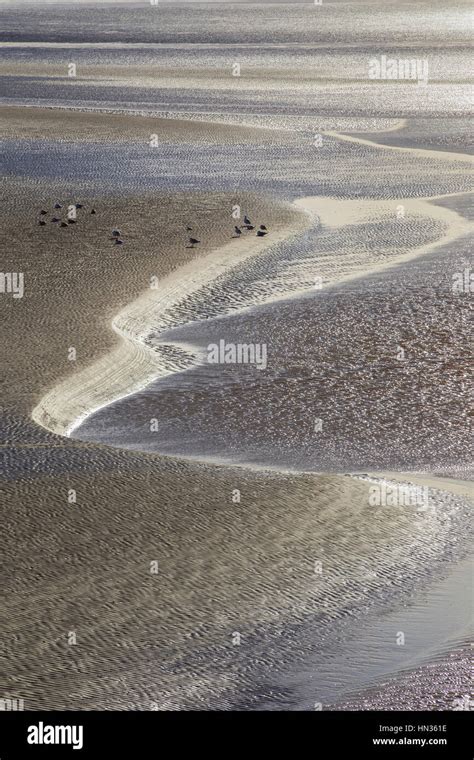 Low tide on the Severn estuary Stock Photo - Alamy