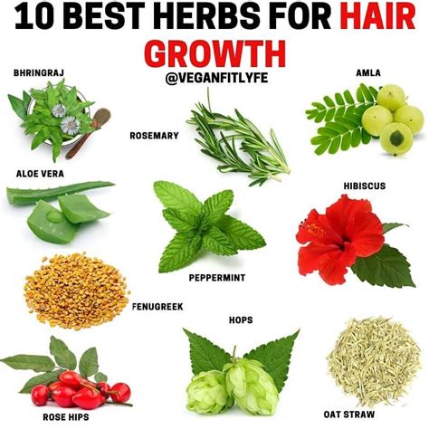 Herbs for Hair Growth👇🔥💚 . Tag someone who needs to see this🙏 . What is ...