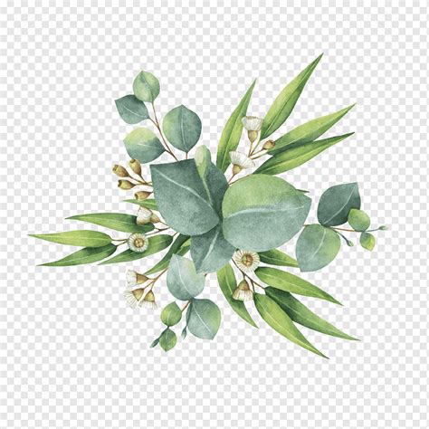 Watercolor painting Flower bouquet Leaf, eucalyptus, green leafed plant ...