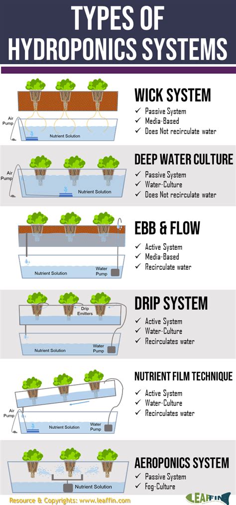 There are 6 basic types of hydroponic systems; Wick, Water Culture, Ebb ...