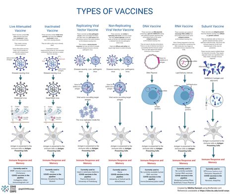 Types of Vaccines Infographics | Epidemiology COVID-19 Response Corps