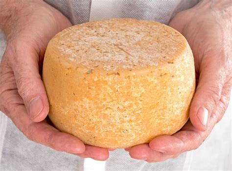 The Cheese Making Process - TheCheeseMaker.com