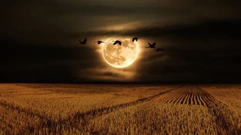 Full Moon October 2023 | When Is The Hunter’s Moon 2023 | Blood Moon ...