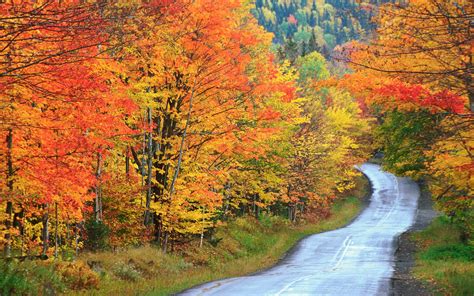 12 Beautiful Maine Fall Foliage Locations | Travel + Leisure