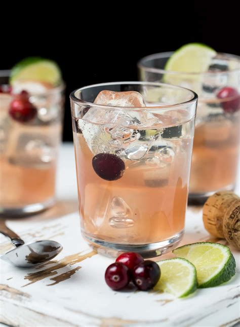 9 Cocktail Recipes with Gin for Summer - Simple Alcoholic Beverages