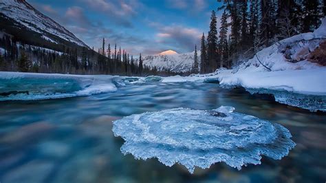 Wallpaper Yukon, Canada, ice, river, trees, winter 1920x1080 Full HD 2K ...