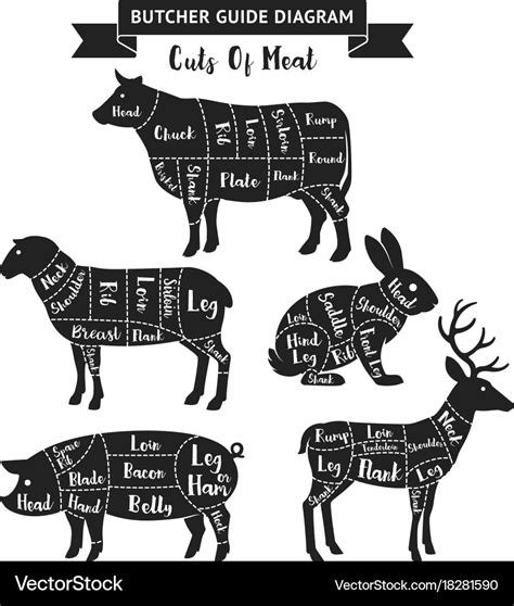 Butcher guide cuts of meat diagram Royalty Free Vector Image